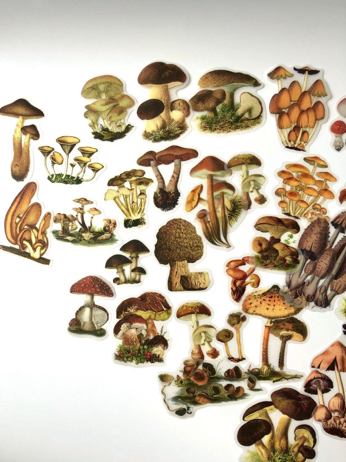 Vintage Style Mushroom Stickers, Ephemera, Scrapbooking (20pc)