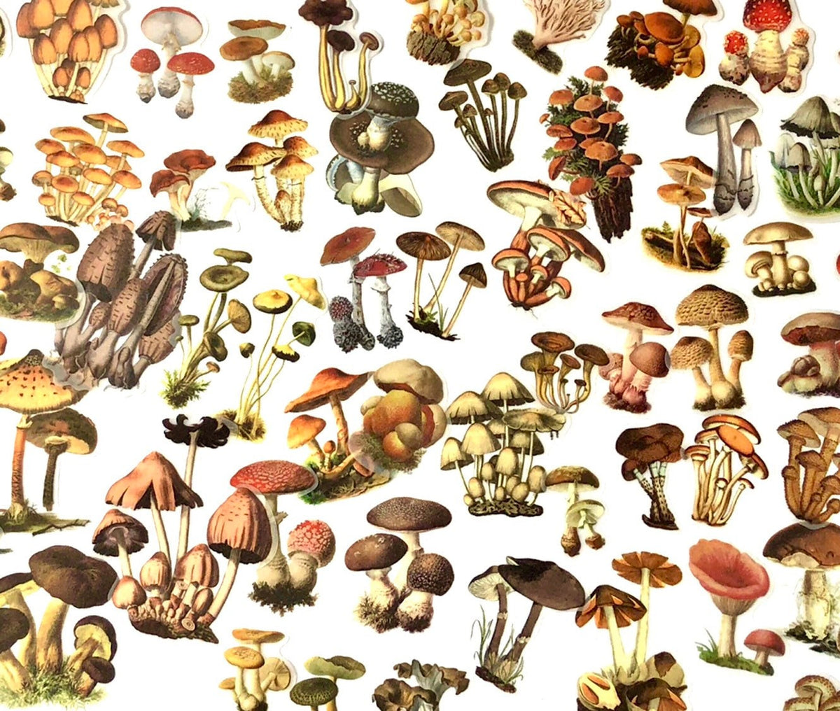 Vintage Style Mushroom Stickers, Ephemera, Scrapbooking (20pc)
