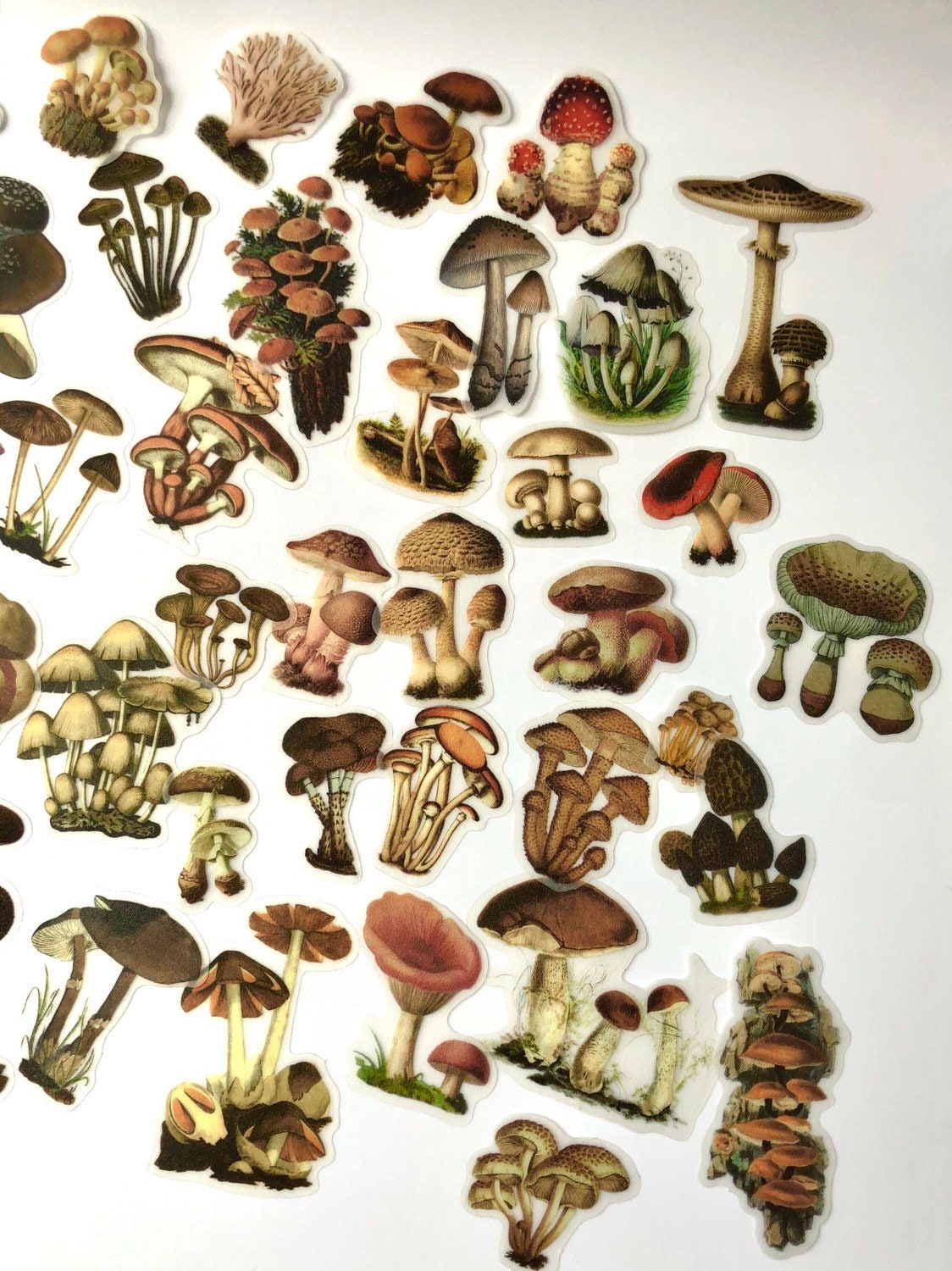 Vintage Style Mushroom Stickers, Ephemera, Scrapbooking (20pc)