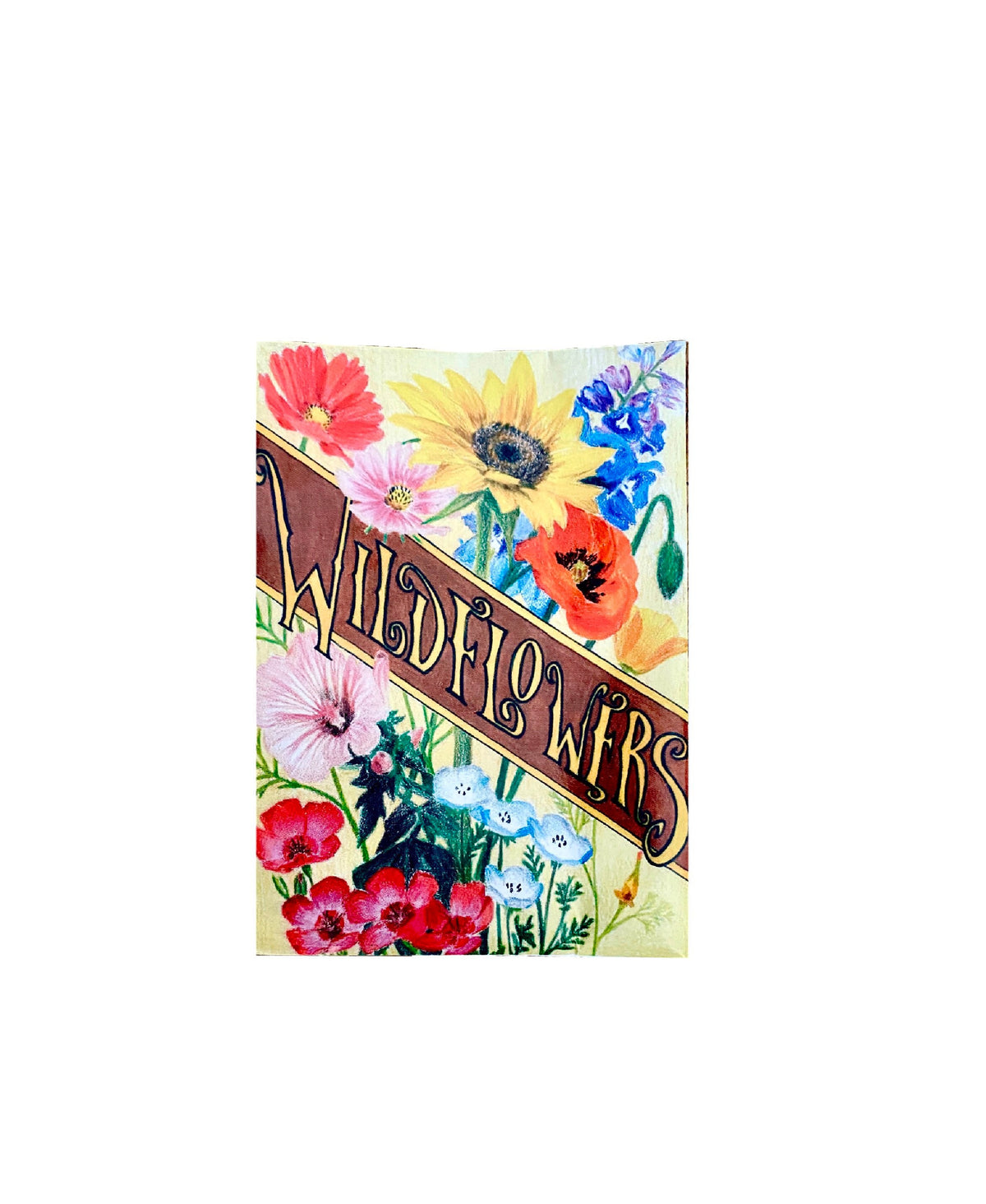 Butterfly Enamel Cup Seed Planting Gift Set