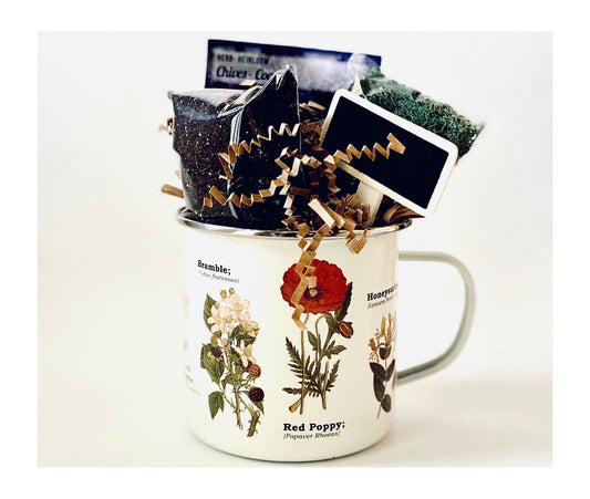 Botanical enamel cup herb garden kit